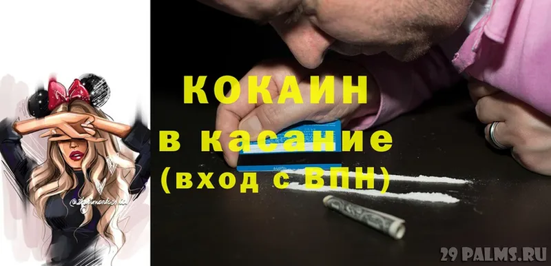 купить наркоту  Каргополь  COCAIN Fish Scale 